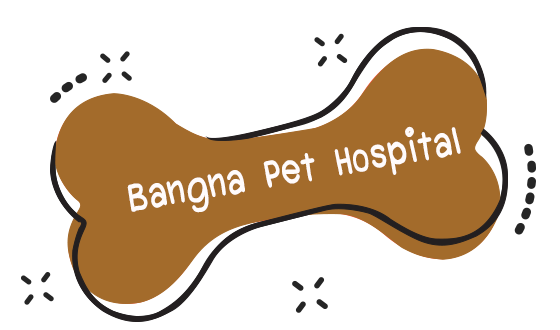 https://www.bphpetcare.com/wp-content/uploads/2020/03/Bangna-Pet-Hospital.png