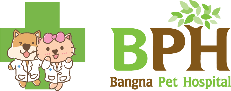 โรงพยาบาลสัตว์บางนา BPH Pet care